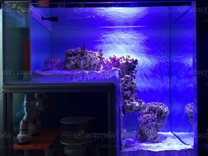 Aangepaste Grote Woonkamer <span class=keywords><strong>Aquarium</strong></span> <span class=keywords><strong>Aquarium</strong></span> Acryl Groot <span class=keywords><strong>Aquarium</strong></span> <span class=keywords><strong>Aquarium</strong></span> - Product Image 4
