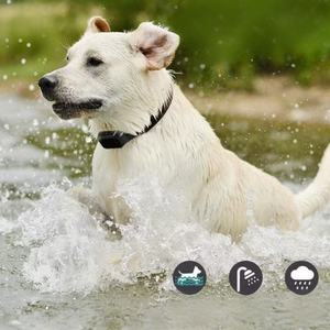 2025 स्वचालित पालतू पालतू स्टॉप बार्किंग कॉलर ई बुद्धिमान पहचान प्रशिक्षण आपूर्ति कोलर स्क्रीन इलेक्ट्रॉनिक कॉलर डॉग प्रशिक्षण - Product Image 3