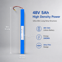 Baterai Lithium Isi Ulang 48V 5Ah 240Wh dengan Casing Sempit untuk Sistem Pencahayaan Tenaga Surya Panel Otomasi Industri