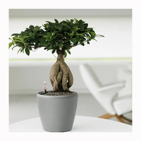 Pot de fleurs artificiel blanc mat pour décoration de mariage, accessoire multifonctionnel, pour le sol d'un hôtel, support pour jardin, bonsaï, macetas