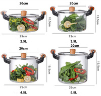 Ustensiles de cuisine en verre borosilicate résistant à la chaleur marmite à paella marmite en verre avec couvercle