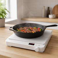 Table de cuisson à induction en verre céramique électrique avec contrôle tactile, fonction pause thermique, pour usage domestique