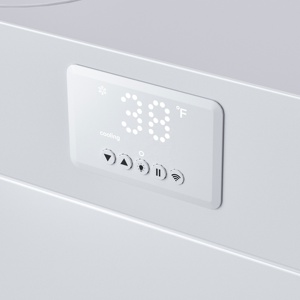 Baignoire de plongée froide en acrylique haut de gamme américaine avec refroidisseur d'eau intégré et distributeur d'ozone, de chlore et de pH Hanna – Baignoire de glace - Product Image 5