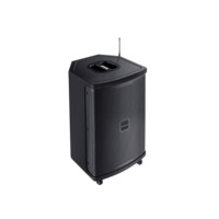 Altavoz Bluetooth portátil profesional con batería recargable, compatible con FM, USB, tarjeta TF, entrada AUX y micrófono