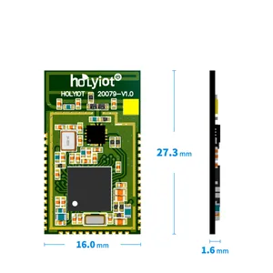 Holyiot 웨어러블 장치 스마트 홈 잠금 Iot 솔루션 4dbm 북유럽 Ble 5.0 Nrf52840 무선 모듈