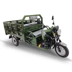 2022新しい1100Wリバートライク大人用電動三輪車中国供給工場から