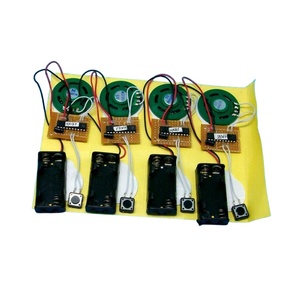 Nhà Sản Xuất Chất Lượng Cao 2 Min Ghi Bằng Giọng Nói Chip Trống Push Nút Âm Thanh Chip Cho OTP - Product Image 2