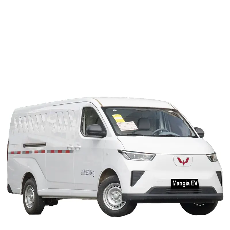 4 륜 전기 자동차의 고속 주행 2024 새로운 순수 전기 밴의 상업용 자동차 Wuling Yanguang Cargo Van