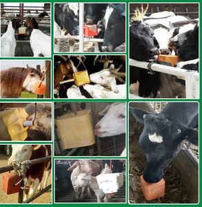 Offre Spéciale : Blocs <span class=keywords><strong>de</strong></span> Sel <span class=keywords><strong>de</strong></span> l'Himalaya – Blocs <span class=keywords><strong>de</strong></span> Sel Minéral pour Sauna et à Lécher pour Bovins, Chevaux, Cerfs et <span class=keywords><strong>Animaux</strong></span> d'Élevage - Product Image 4