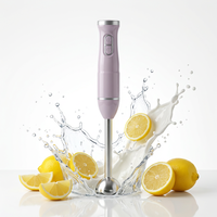 Krachtige 1000W multifunctionele staafmixer met comfortabele handgreep, afneembaar onderdeel en variabele snelheid