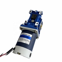 Moteur à courant continu brossé 6W-500W avec boîte de vitesses à vis sans fin NMRV 30 40 50 63 75 90 12V/24v/48v/90v