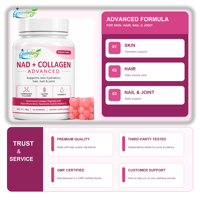 Gummies sans sucre au collagène NAD+ avec acide hyaluronique, trans-resvératrol et vitamine C – Marque privée, OEM, ODM, Vente en gros usine