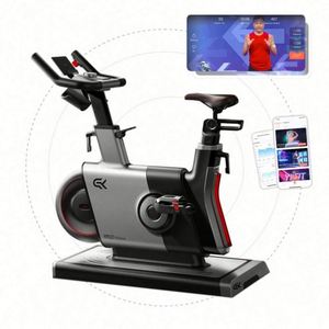 Nuevo Modelo 2025 de Gran Venta: Bicicleta Estática Magnética de Acero Inoxidable para Interiores, con Volante de Inercia de 6.0-10 kg, Pantalla LCD y Carga Máxima de 150 kg, con Conexión a Enchufe de Pared - Product Image 6