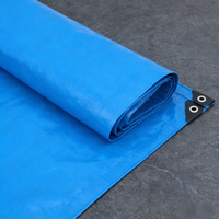 Bâches agricoles personnalisées en PE enduit, résistantes aux UV, pour camions et camping en extérieur, 100gsm 200gsm, vente en gros