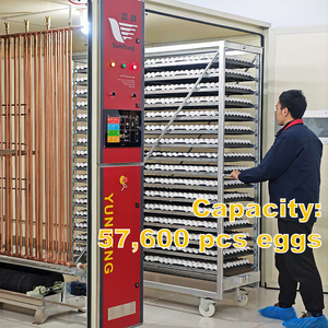 Incubadoras de alta calidad para incubar, proveedor chino para incubadora de huevos de capacidad 5760000 - Product Image 4