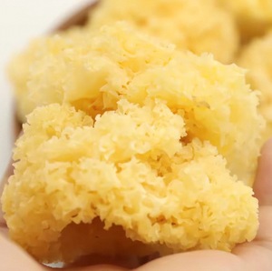Hongo Tremella de Primera Calidad, Seco a Granel, Hongo Tremella Dorado, Tremella <span class=keywords><strong>Fuciformis</strong></span> - Product Image 3
