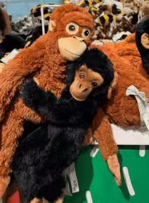 Nuovo Peluche <span class=keywords><strong>Scimmietta</strong></span> Giapponese <span class=keywords><strong>Carina</strong></span> con Imbottitura in Cotone PP 31-50cm - Product Image 5