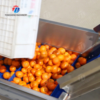 Roestvrijstalen Automatische Groente Fruit Lift Aangepaste Voedselverwerkende Machine Ts T30