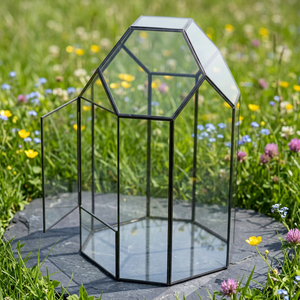 Wholesale Modern Geometric Shape Tempered Glass Terrarium Tabletop <b>Vase</b> for Plants and Flowers Home & Wedding Decoration - Product Image 1