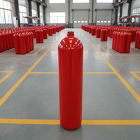 Vente en gros directe usine : Cylindre d'extincteur CO2 vide, réservoir de gaz en acier au carbone personnalisé, équipement de suppression d'incendie