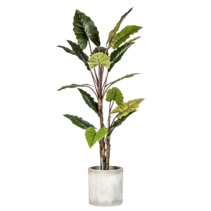 室内室外装饰用仿真植物树塑料人造植物客厅家居装饰用宽叶彩虹芋 - Product Image 6