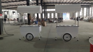 Chất Lượng Cao Di Động Tủ Đông <span class=keywords><strong>Ice</strong></span> <span class=keywords><strong>Cream</strong></span> Hiển Thị Giỏ Hàng <span class=keywords><strong>Ice</strong></span> <span class=keywords><strong>Cream</strong></span> Xe Đạp Giỏ Hàng Năng Lượng Mặt Trời Di Động <span class=keywords><strong>Ice</strong></span> <span class=keywords><strong>Cream</strong></span> Giỏ Hàng - Product Image 2