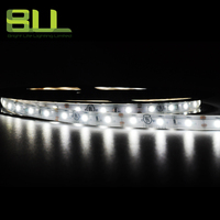 Tira de luces LED IP65 SMD 3528 60led/M, tira led flexible 6000K DC12V, cinta de luz LED impermeable para uso en exteriores