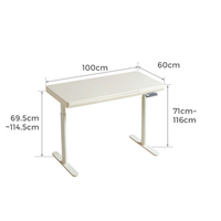 Bureau Ergonomique Manuel à Manivelle Réglable en Hauteur, Tout Blanc, pour Ordinateur, Étude à Domicile et Gaming – Table de Levage OEM/ODM