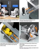 Elektrische 220V Groente & Fruit Cutter Voedselverwerkende Machine Snijmachine Chopper Voor Aardappelen Komkommers Citroenen Appels Tomaten