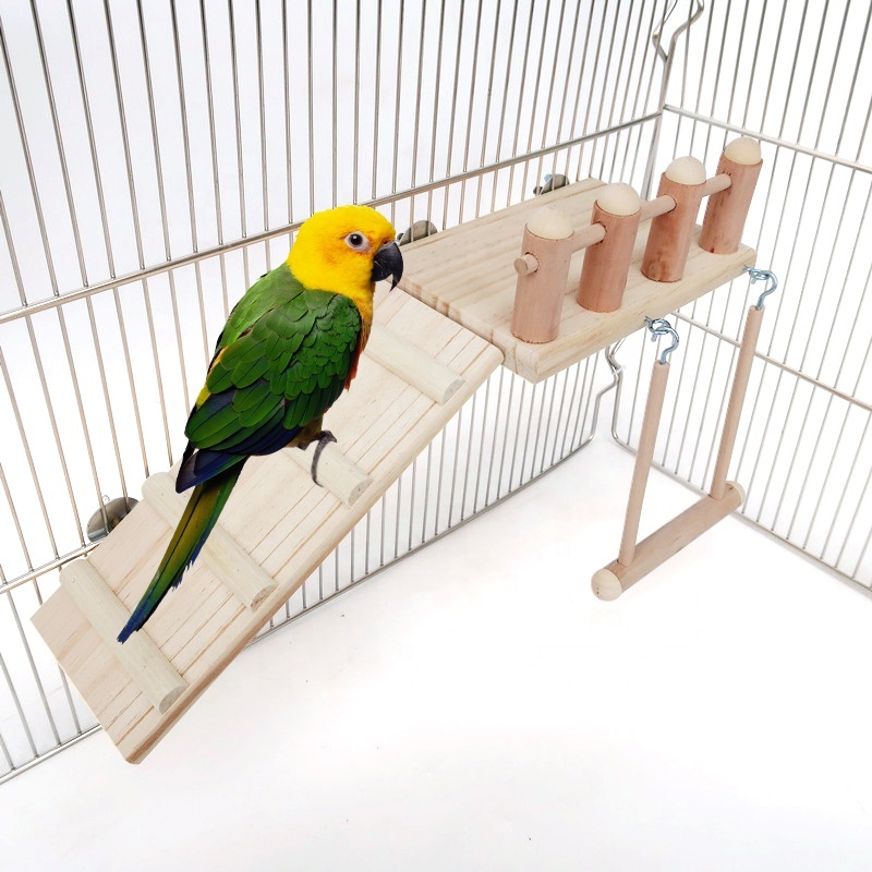 Bird Toy Parrot Hamster Totoro Chinchillas