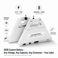 Paquete de Baterías Personalizado para Starlink Mini, Salida de Energía DC USB-C, Banco de Energía para Teléfono y Portátil, Uso en Exteriores, OEM