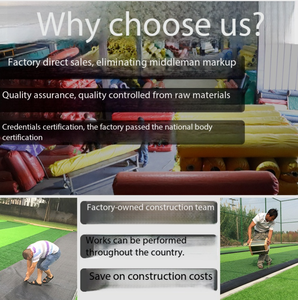 <span class=keywords><strong>Semillas</strong></span> de Césped Natural de la Mejor Calidad y Durabilidad para Canchas de Fútbol, Césped Artificial Sintético Fácil de Instalar - Product Image 6