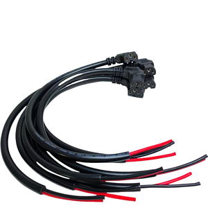 <span class=keywords><strong>Triciclo</strong></span> eléctrico negro 6 cuadrado 50cm línea de codo 36V Motor sin escobillas de cobre enchufe impermeable enchufe de alimentación de carga - Product Image 1