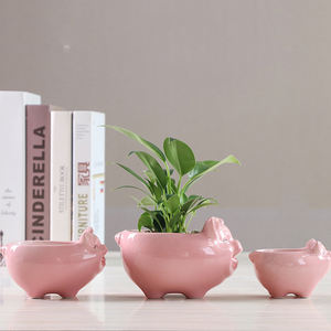 सुअर के आकार के साथ फ्लेक्सी सिरेमिक फूल बर्तन बगीचे के घर सजावट के लिए बड़े हाइड्रोपोनिक प्लांटर - Product Image 5