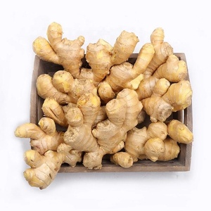 Jahe kering segar, aroma jahe segar harga grosir 100g + - Product Image 1