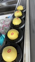 Nieuw Seizoen Verse Natuurlijke Peren Met Smaak Van Zeer Zoet En Sappig Geproduceerd In China