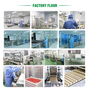 Caramelle Gommose Dimagranti Potenti all'Ingrosso con Peptidi Compositi Fruttati e Probiotici per l'Energia Quotidiana - Product Image 6