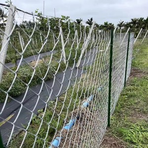 Galvanized Chain Link Fence Diamond <b>Wire</b> <b>Mesh</b> Roll for Farm Animal Fencing <b>Garden</b> Protection - Product Image 3