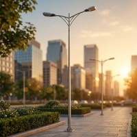 Poste de Luz Curvo de un Solo Brazo, Galvanizado en Caliente, Cónico, para Iluminación de Calles Comunitarias