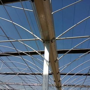 Utilisation tropicale d'usine de double couche de serre chaude de cadre en métal de <span class=keywords><strong>prix</strong></span> concurrentiel pour l'agriculture d'horticulture - Product Image 6