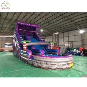 16ft Tím nhiệt đới trượt nước tùy chỉnh PVC inflatables cho trong nhà ngoài trời sử dụng hồ bơi nhà trung tâm mua sắm tuyệt vời trẻ em người lớn - Product Image 3