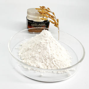 Suministro RICI ácido ferúlico <span class=keywords><strong>natural</strong></span> Extracto de salvado de arroz 98% polvo de ácido ferúlico puro Precio de ácido ferúlico a granel - Product Image 6