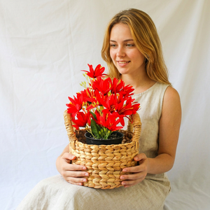 AKASA D20 Handmade Woven Storage <b>Basket</b> Seagrass <b>Plant</b> Pot Cover Decorative <b>Basket</b> Natural Wicker Organizer Laundry <b>Basket</b> Home - Product Image 1
