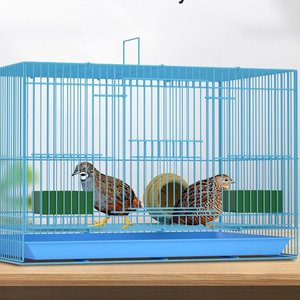 Birdcage Pigeon <strong>Cage</strong> Metal Parrot Birdcage Bags <strong>Show</strong> Eyes Tiger Skin Birdcage - Product Image 4