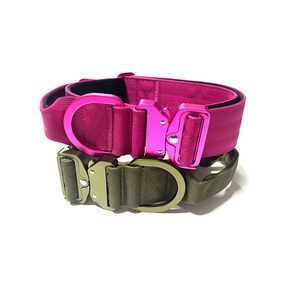 Collier pour <span class=keywords><strong>chien</strong></span> réglable en nylon épais et néoprène avec boucle en métal léger et poignée confortable - Product Image 6