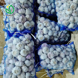 <span class=keywords><strong>Ail</strong></span> <span class=keywords><strong>Éléphant</strong></span> <span class=keywords><strong>Prix</strong></span> 10KG/CTN 5.5MM <span class=keywords><strong>Ail</strong></span> Blanc Frais en Stockage Congelé - Product Image 4