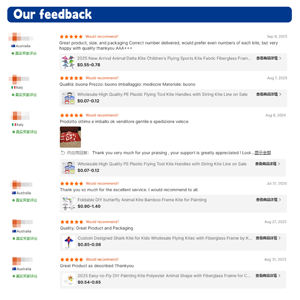 Vente flash : cerfs-volants en polyester Delta fabriqués en usine avec cadre en fibre de verre, cerfs-volants à prix économique directement de l'usine de cerfs-volants - Product Image 6