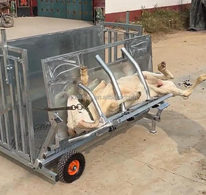 Nuevo Corral Portátil Ajustable para Cabras y Ovejas, Equipo Agrícola Comercial para Manejo de Ganado, Galvanizado - Product Image 5