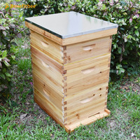 Ruche australienne en bois, 10 cadres, vente en gros