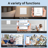 Interruptor de Pared Táctil Inteligente WiFi RF433 Hz con Control Remoto, Compatible con Alexa, Función de Temporizador, Botón Pulsador de 2 Vías
